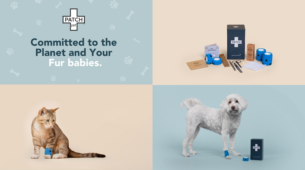 4 Reasons Why PATCH PET Is the Ultimate First-Aid Solution for All Pet Parents